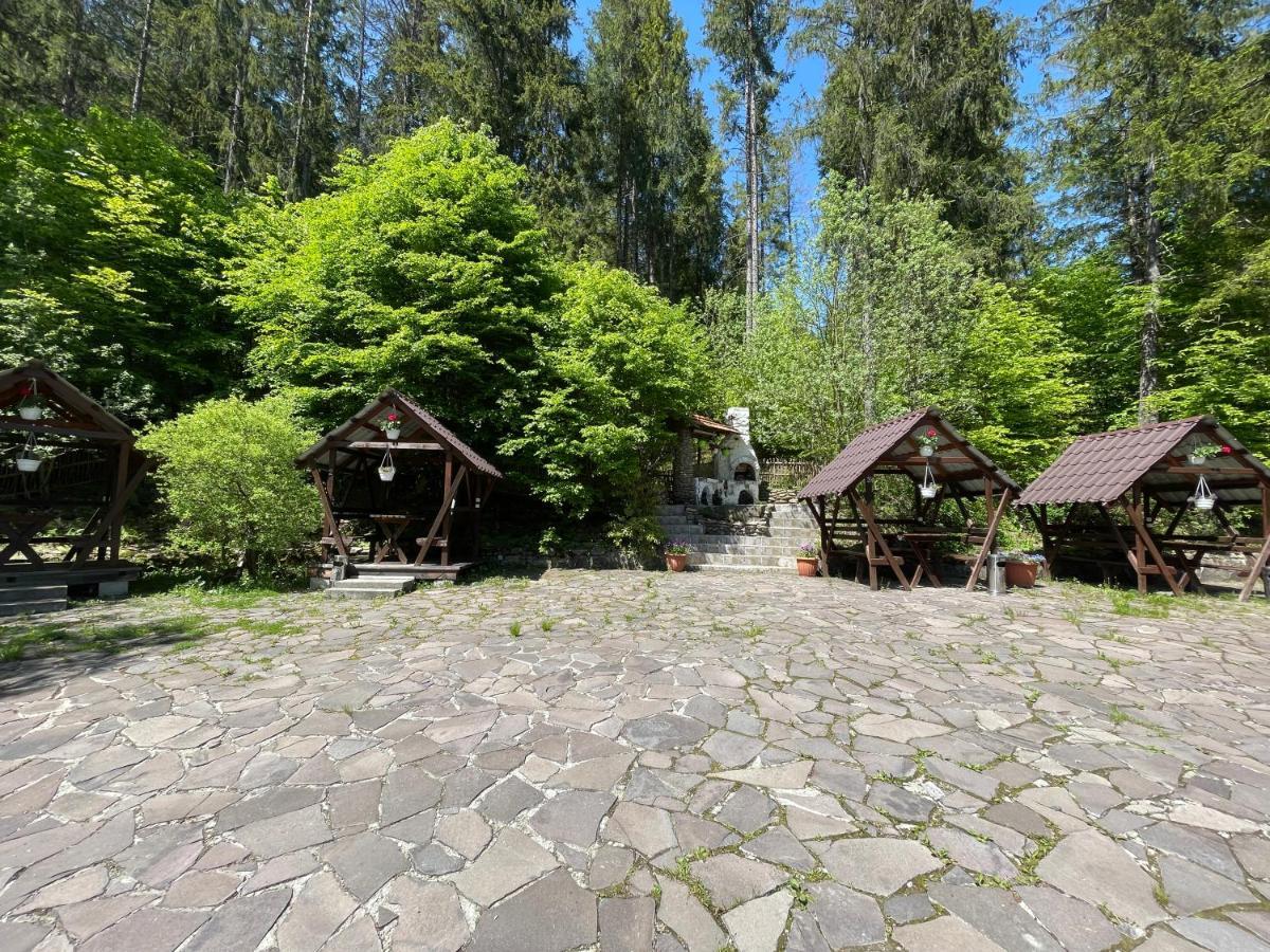 Grunok (Adults Only) Hotell Pilipets Exteriör bild
